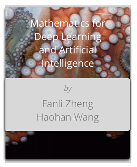 New book - Matematics for Deep Learning and AI